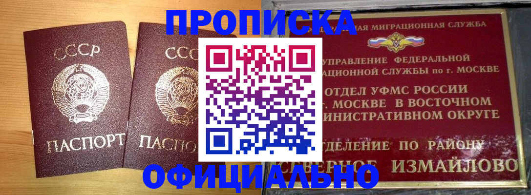 купить прописку в Светлогорске